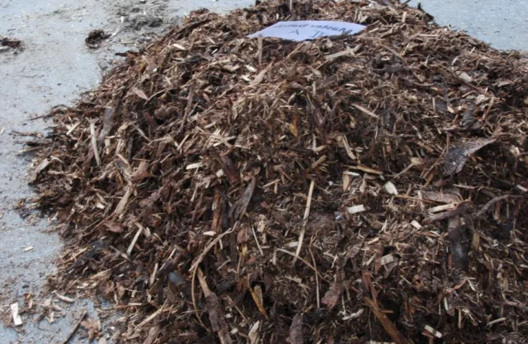 Bruk av plantebaserte midler mot parasitter hos dyr