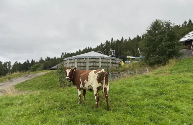 Webinar: Klimagassutslipp fra bløtgjødsel