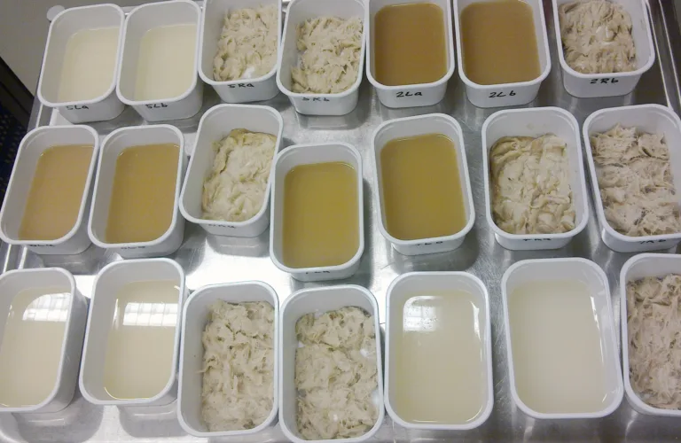 Full utnyttelse av restråstoffer i viktige matvarekjeder (CYCLE) Full utnyttelse av restråstoffer i viktige matvarekjeder (CYCLE)