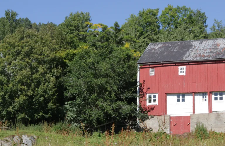 Liabonden og andre bønder i lia