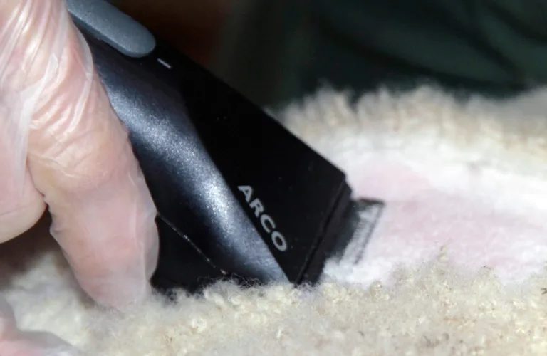 Stresshormoner som velferdsindikator i husdyrproduksjon