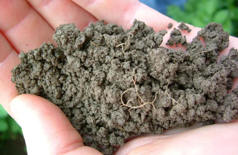 Karbon i jord Karbon i jord