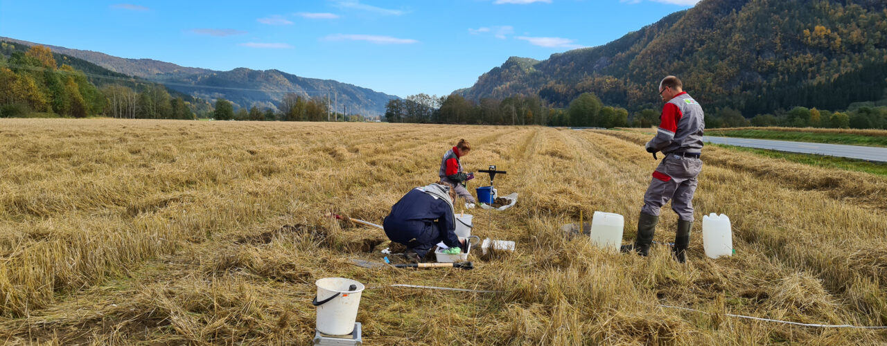 20200930 124607 IN THE FIELD: At NORSØK you will have the opportunity to gain experience in field-research as well as theoretical work, guided by experienced research scientists.