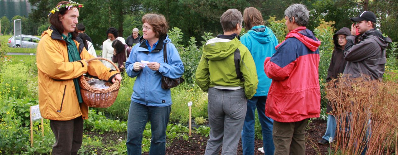 Foto Anita Land Bioforsk 1 Of 1 Kjøkkenhagedag i Stjernehagen på Tingvollgard